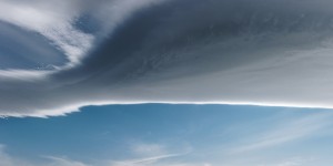 Beitragsbild des Blogbeitrags Sie sind gekommen, um zu gehen