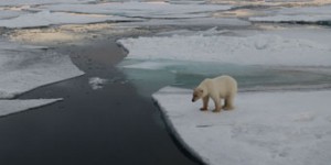 Beitragsbild des Blogbeitrags Tipps zum klimaschonenden Reisen anlässlich der WWF EARTH HOUR 2018