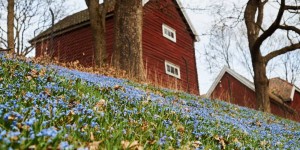 Beitragsbild des Blogbeitrags Akerselva 