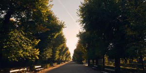 Beitragsbild des Blogbeitrags Early morning in Schönbrunn