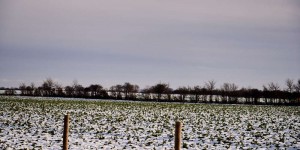 Beitragsbild des Blogbeitrags Fairford