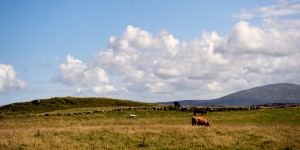 Beitragsbild des Blogbeitrags Torr Head