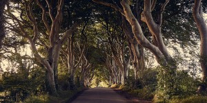 Beitragsbild des Blogbeitrags Dark Hedges 