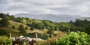 Beitragsbild des Blogbeitrags Beatrix Potter and the Lake District 