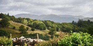Beitragsbild des Blogbeitrags Beatrix Potter and the Lake District