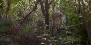 Beitragsbild des Blogbeitrags All Saints Sunday