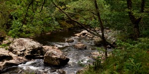 Beitragsbild des Blogbeitrags Loch Lomond 
