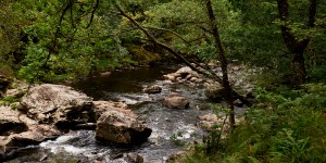 Beitragsbild des Blogbeitrags Loch Lomond