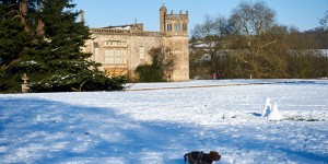 Beitragsbild des Blogbeitrags Lacock Abbey 
