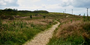 Beitragsbild des Blogbeitrags Penistone Hill