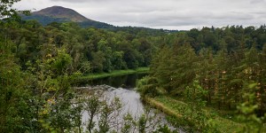 Beitragsbild des Blogbeitrags Dryburgh Abbey