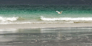 Beitragsbild des Blogbeitrags Luskentyre