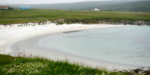 Beitragsbild des Blogbeitrags Summer 2023