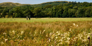 Beitragsbild des Blogbeitrags Nether Largie Standing Stones 