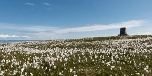 Beitragsbild des Blogbeitrags Isle of Foula Part 2