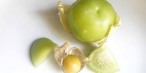 Beitragsbild des Blogbeitrags Erntetage: Tomatillo Anbau in Wien
