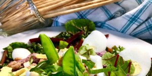 Beitragsbild des Blogbeitrags Ernte Timing und Sommerernte Rezept Nordseekrabben auf Coleslaw mit gegrilltem Mangold