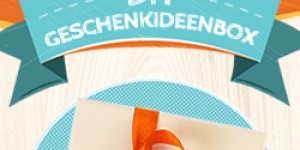 Beitragsbild des Blogbeitrags DIY Geschenkideenbox [Vorstellung] 