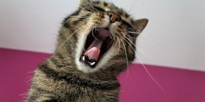 Beitragsbild des Blogbeitrags Kolumne: 10 Verhaltensweisen, die ich absolut nicht mag