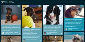 Beitragsbild des Blogbeitrags 3 Ways to Put Your Free Social Wall to Good Use 