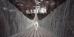 Beitragsbild des Blogbeitrags 3 Common Fears People Have about Hashtag Campaigns And What You Can Do to Neutralise Them