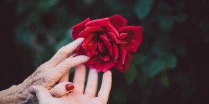 Beitragsbild des Blogbeitrags A Heartfelt Donation Altruistic Hashtag Campaign Shows You Don’t Need Material Incentives to Achieve User-Generated Content
