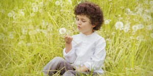 Beitragsbild des Blogbeitrags Sow & Grow Social Wall  innocent Social Media Campaign Doesn’t Just End at the Garden Wall 