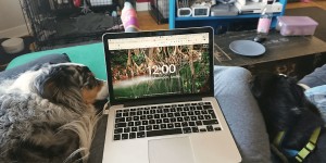 Beitragsbild des Blogbeitrags How to Cope With Working From Home Q & A With an Experienced Remote Worker
