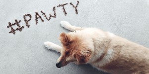 Beitragsbild des Blogbeitrags Hashtag Campaign Guide for Marketers Everything You Need for a Successful Hashtag Campaign