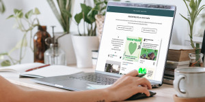 Beitragsbild des Blogbeitrags How to Embed a Social Media Wall on Your Website With Walls.io, You Can Embed a Social Media Wall in a Few Easy Steps