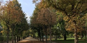 Beitragsbild des Blogbeitrags Latest Lieblinge - Herbst 2016