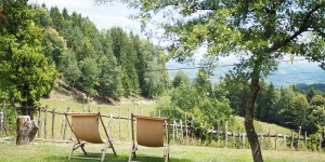 Beitragsbild des Blogbeitrags Wandern in der Steiermark: Heiligengeistklamm und Grenzpanoramaweg