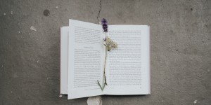 Beitragsbild des Blogbeitrags 9 Bücher rund um das Thema Nachhaltigkeit – Von DIY bis Sachbuch