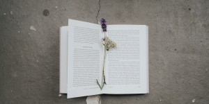 Beitragsbild des Blogbeitrags 9 Bücher rund um das Thema Nachhaltigkeit – Von DIY bis Sachbuch 