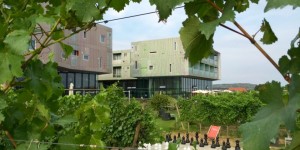 Beitragsbild des Blogbeitrags Review: LOISIUM Wine & Spa Resort Langenlois