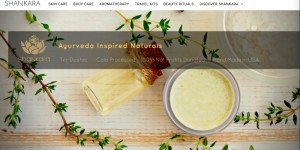 Beitragsbild des Blogbeitrags Shankara: how to prosper responsibly. Care for your customer, Sales will follow