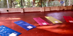 Beitragsbild des Blogbeitrags My Yoga teacher training experience @Padmakarmayoga in Kerala