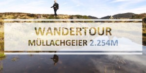 Beitragsbild des Blogbeitrags Pinzgau: Leichte Wandertour auf den Müllachgeier 2.254m