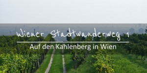 Beitragsbild des Blogbeitrags Wiener Stadtwanderweg 1 – Kahlenberg 