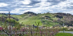 Beitragsbild des Blogbeitrags Südsteiermark: Tag 1 – Von Ehrenhausen nach Ratsch