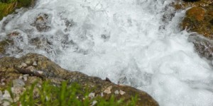 Beitragsbild des Blogbeitrags #wanderlust im Nationalpark Gesäuse