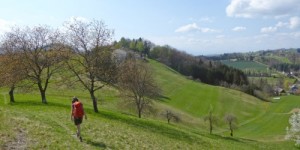 Beitragsbild des Blogbeitrags Vom Gletscher zum Wein – Ratsch nach Kreuzberg