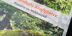 Beitragsbild des Blogbeitrags Buchtipp: Märchenhafte Kraftplätze 