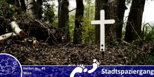 Beitragsbild des Blogbeitrags Herbstspazierung Wien #1 – Grau in Grau oder Wie der Garten des Grauens aussehen kann
