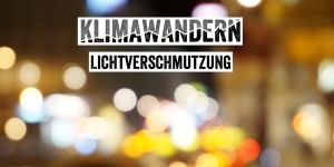Beitragsbild des Blogbeitrags Der helle Wahnsinn