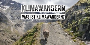 Beitragsbild des Blogbeitrags Klimawandern – Was ist das und wer bin ich?