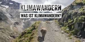 Beitragsbild des Blogbeitrags Klimawandern – Was ist das und wer bin ich? 