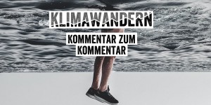 Beitragsbild des Blogbeitrags Was Martina Salomon auch hätte schreiben können