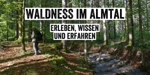 Beitragsbild des Blogbeitrags Waldness® im Almtal 