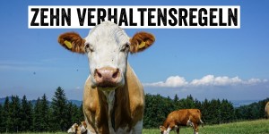 Beitragsbild des Blogbeitrags Auf der Alm, da gibts… Sünden